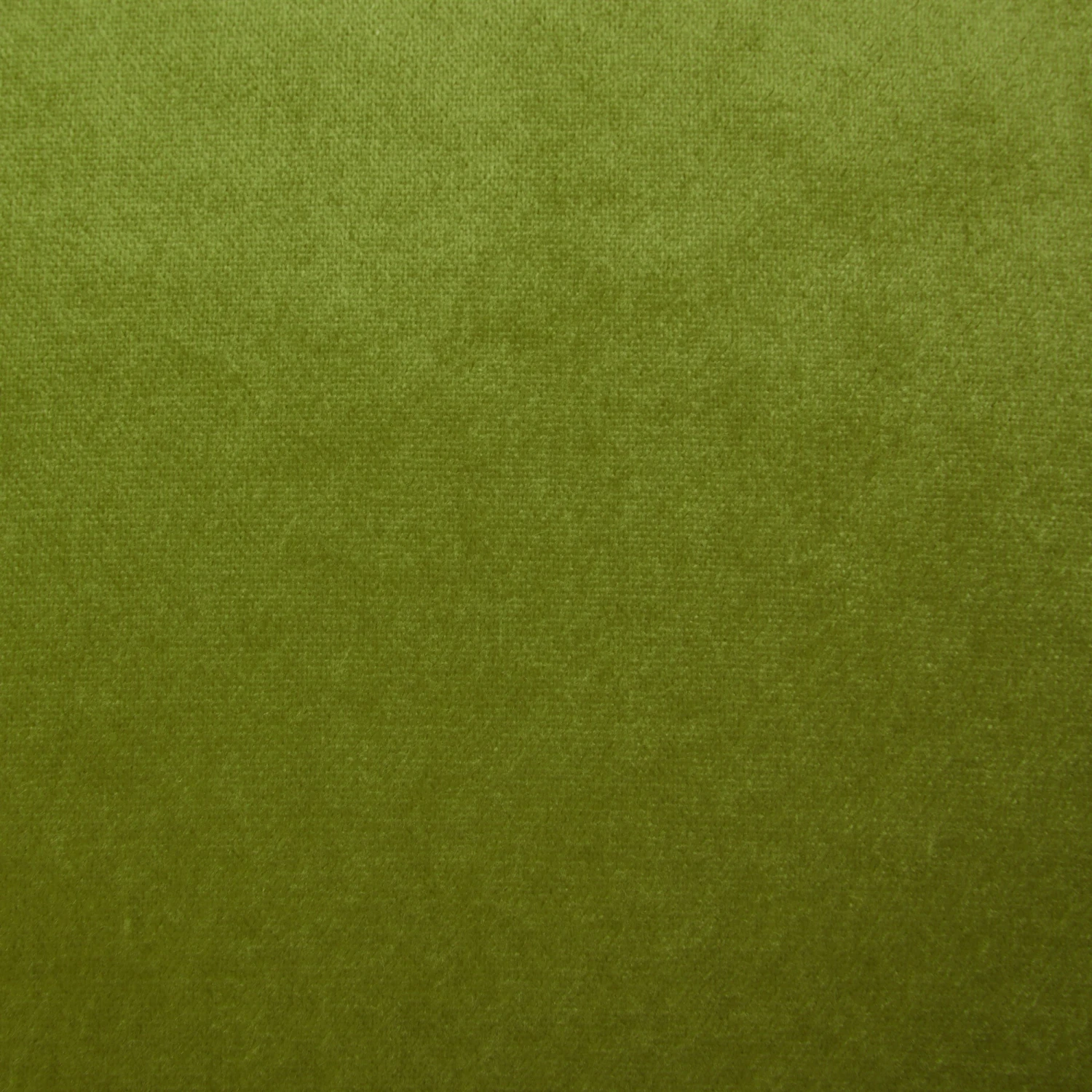 Housse De Coussin DARIO Olivine Et Bourdon Noir 6 Housse De Coussin DARIO Olivine Et Bourdon Noir – Image 6