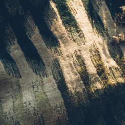 Plaid KHAN Lichen -Décoration & meubles pour la maison plaid KHAN 004962 V8 2